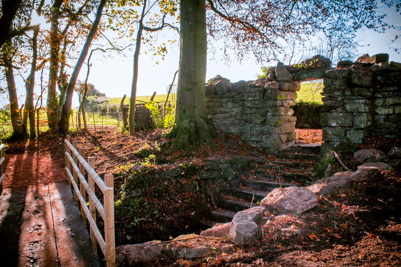 Woodland path at Hilston Park
