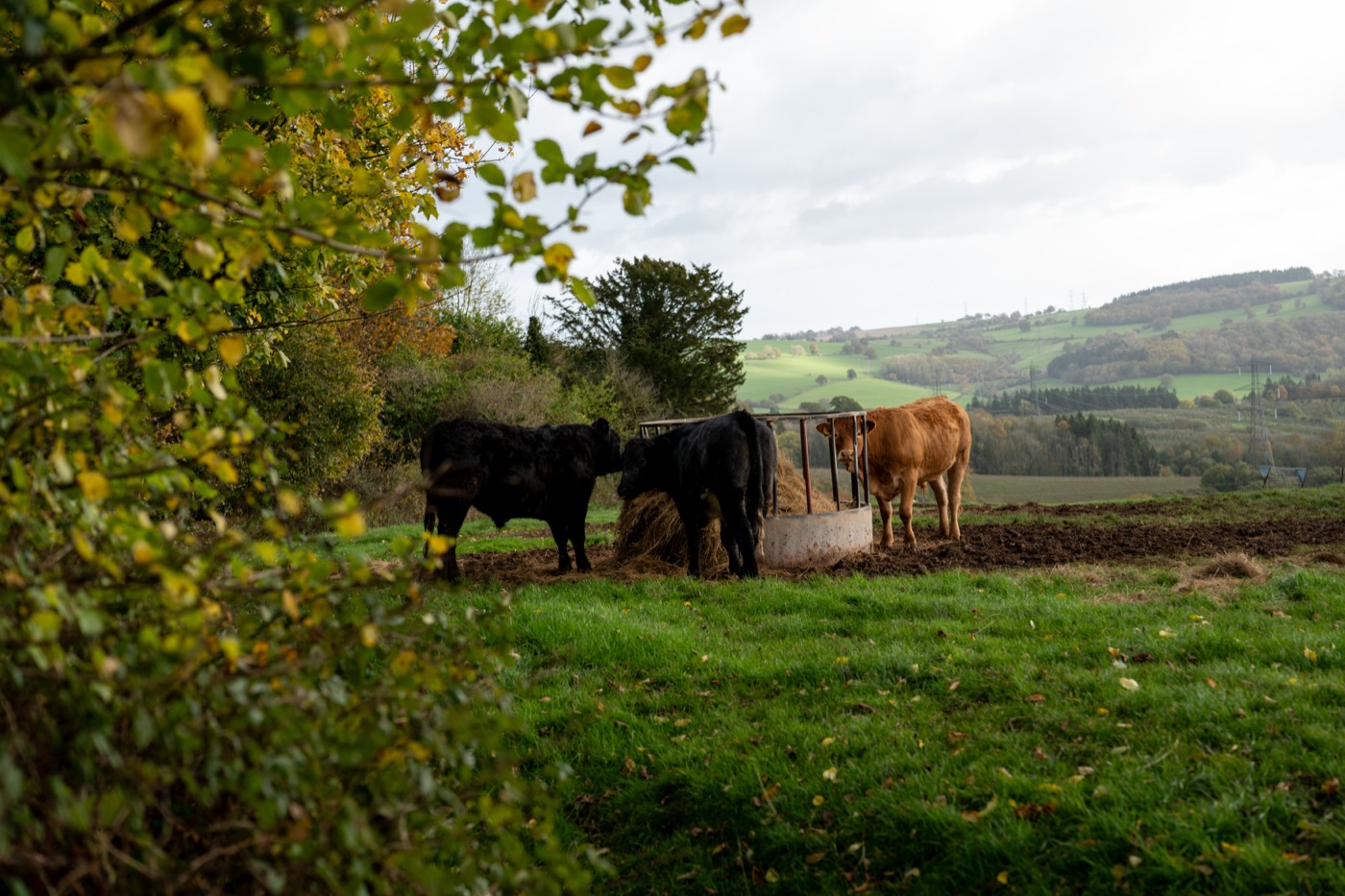 Hilston Park farmland and countryside