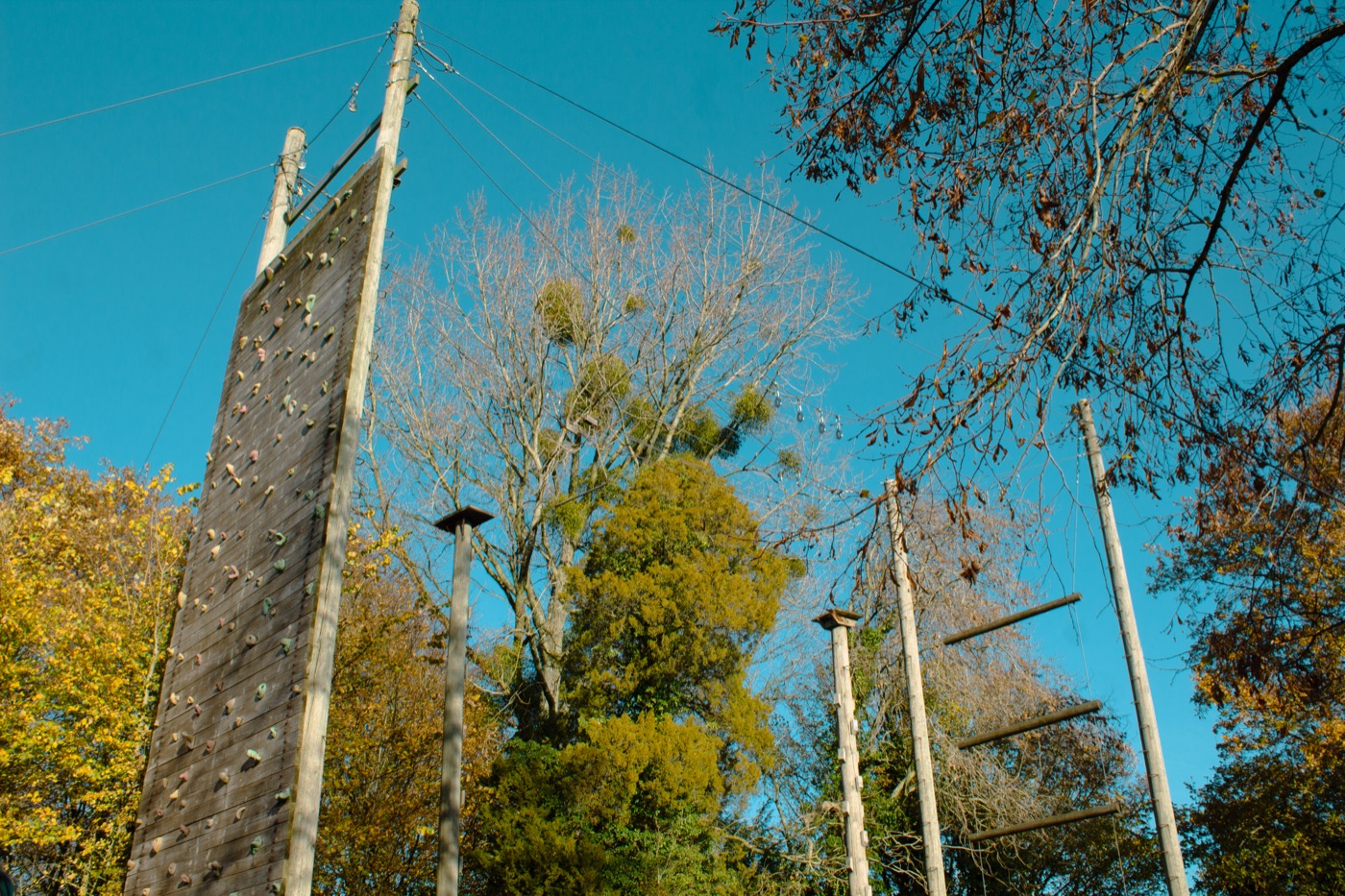 Outdoor activities at Hilston Park