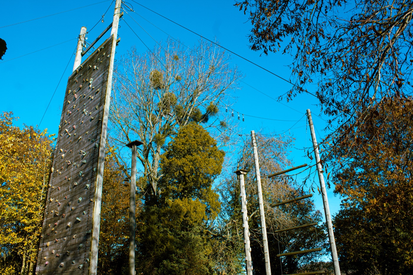 Activities at Hilston Park