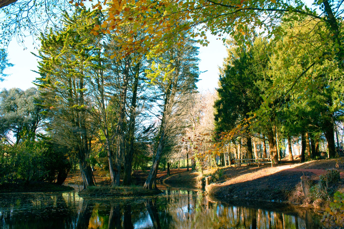 Outdoor activities at Hilston Park