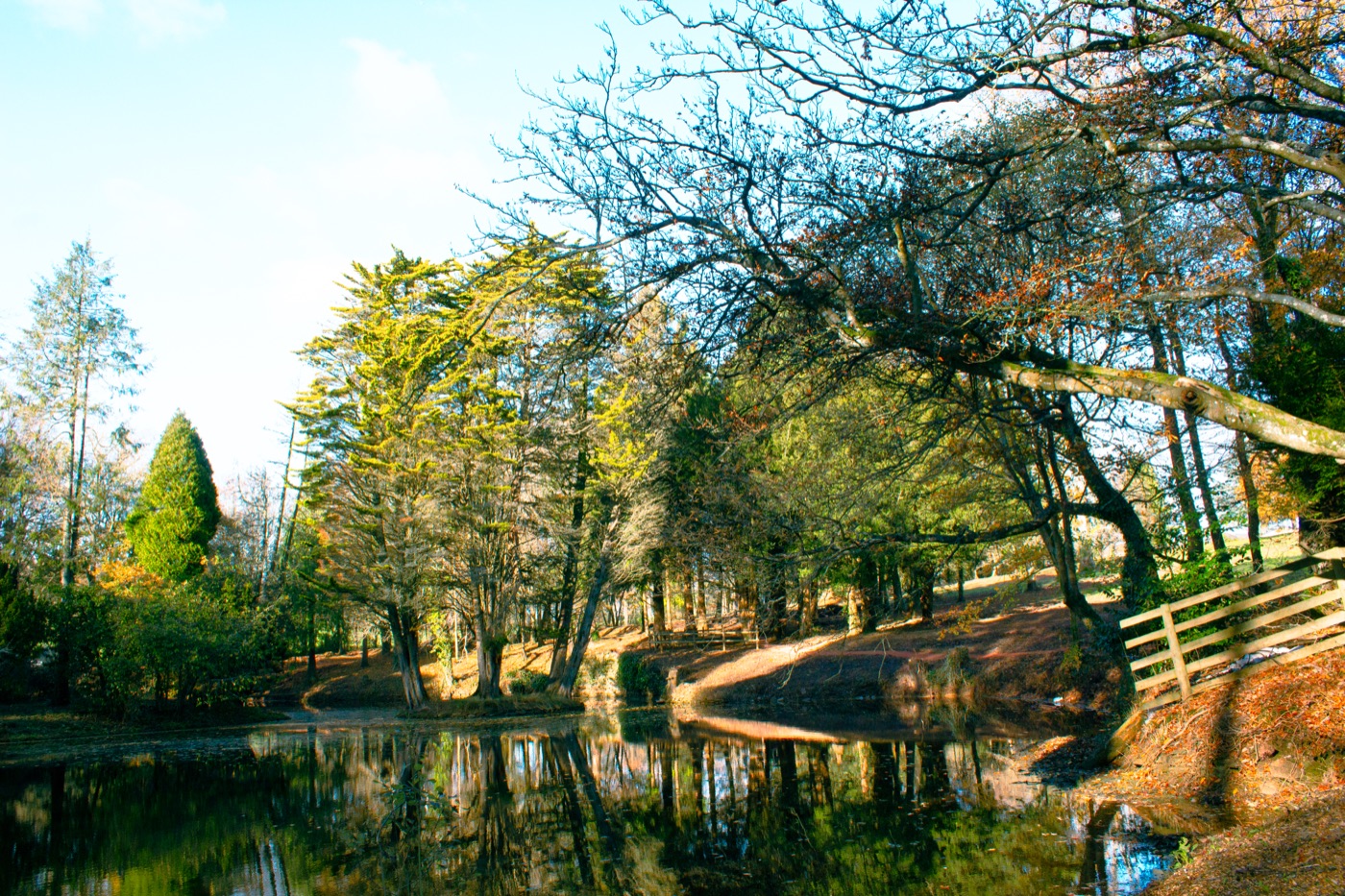 Group activities at Hilston Park