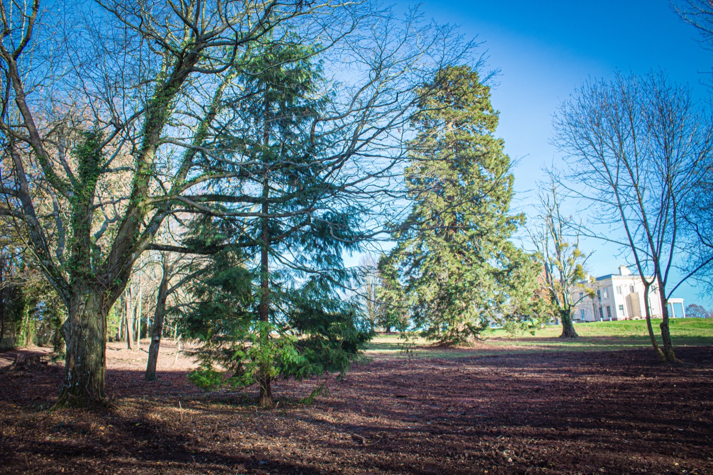 Hilston Park estate